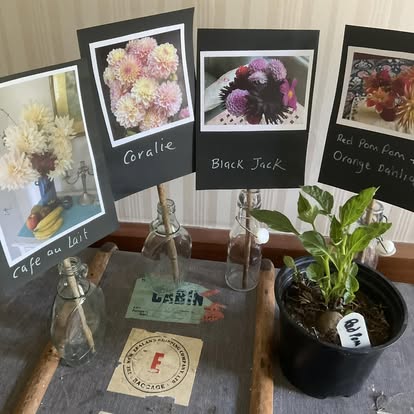 470173795_122133959810383036_7934356345618669920_n