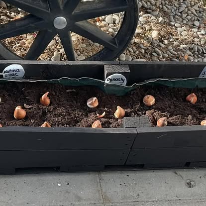 470202521_122133787010383036_7169495071436669700_n