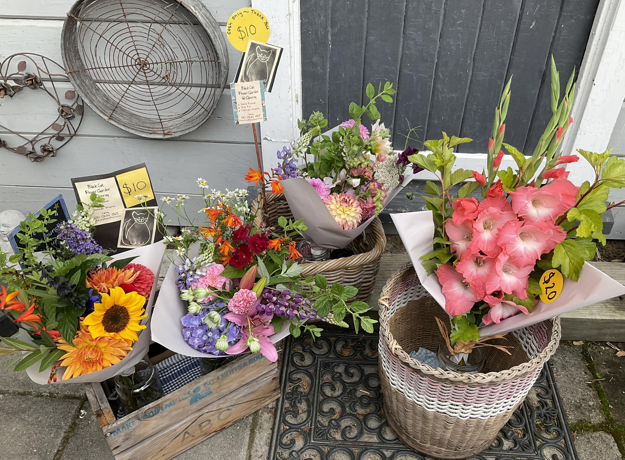 476378412_122140907336383036_2899906588827437122_n