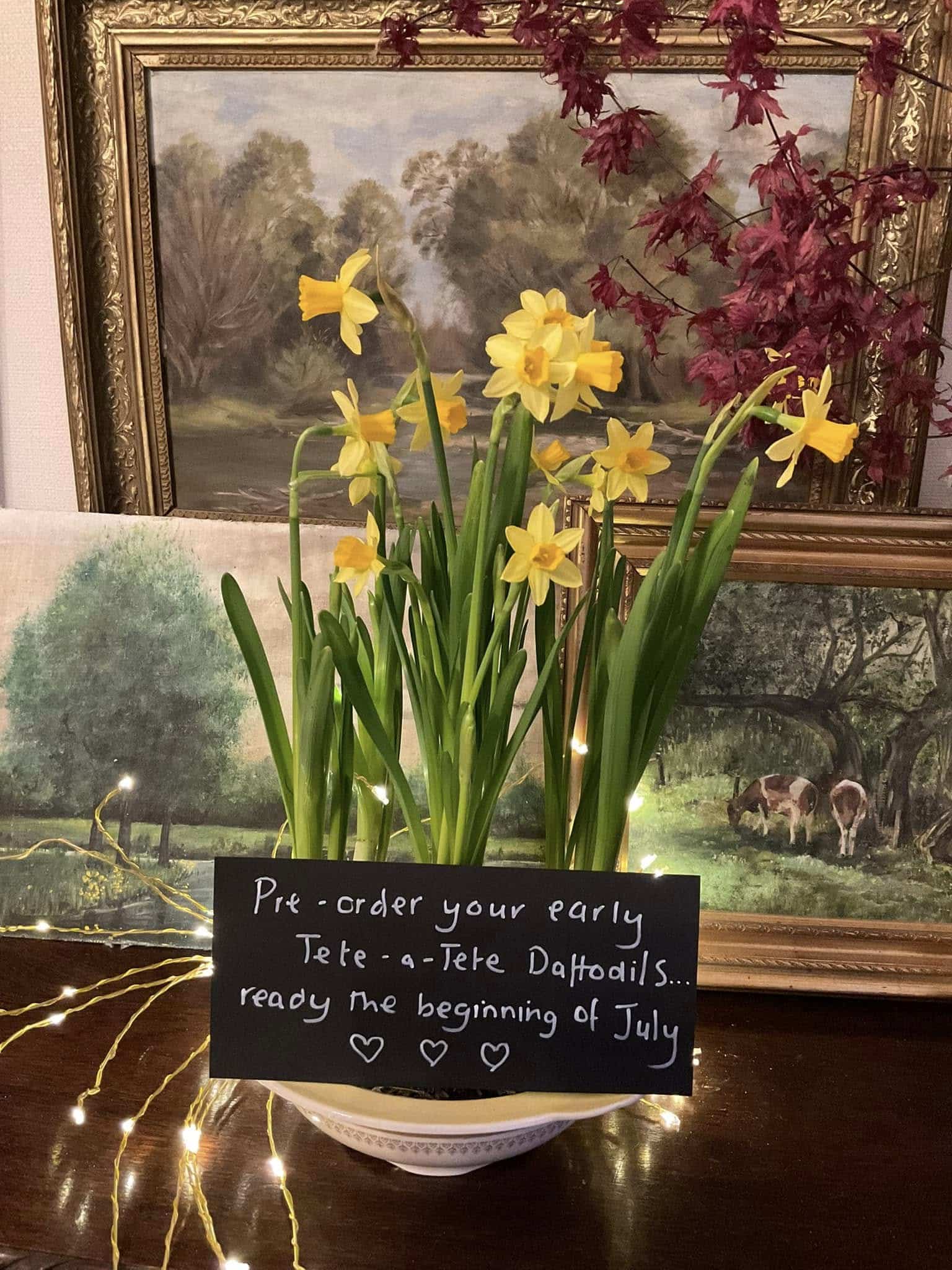 485993259_122147262800383036_1669096655537068792_n