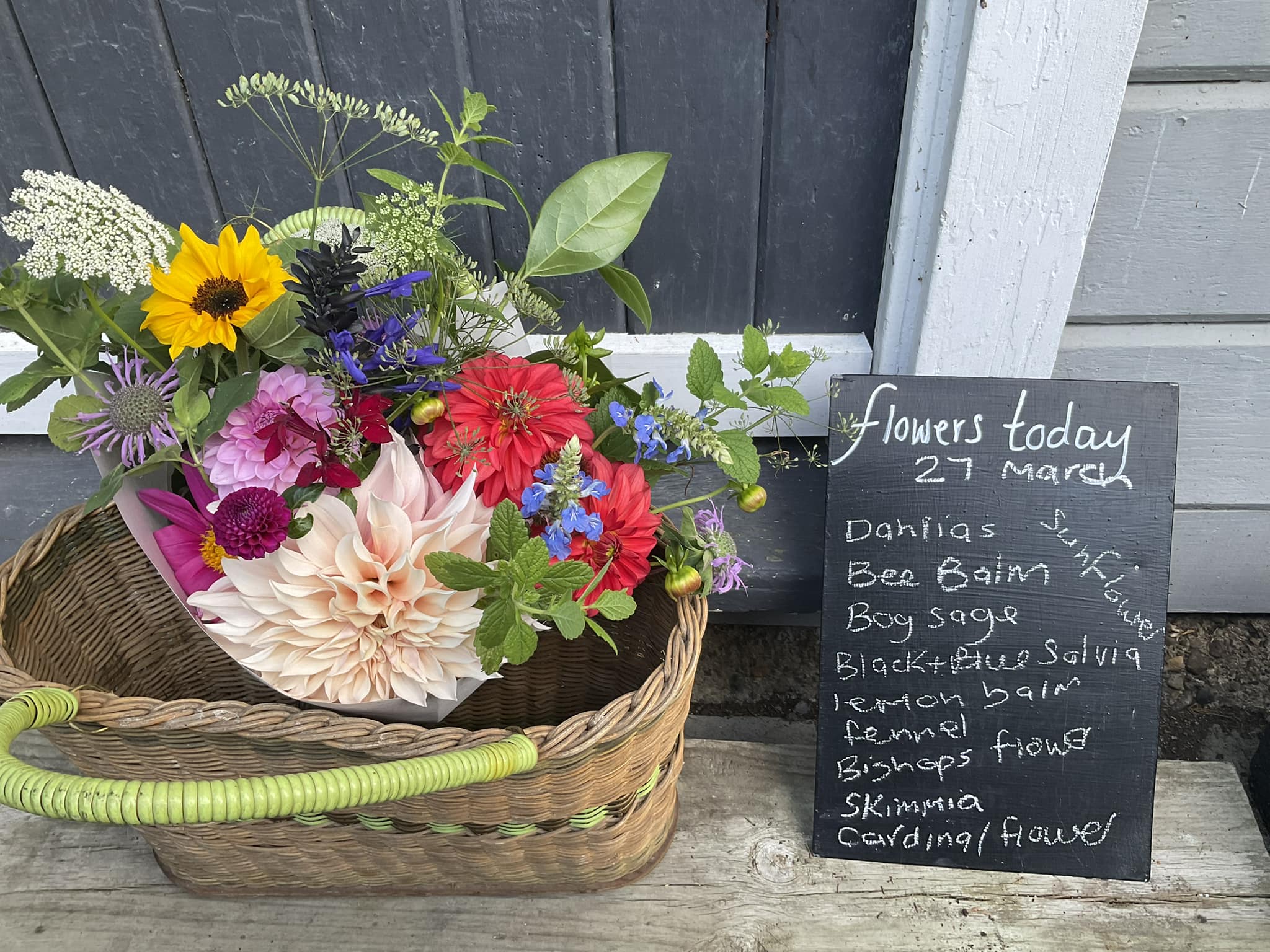 486350665_122147954420383036_7230475981181206012_n