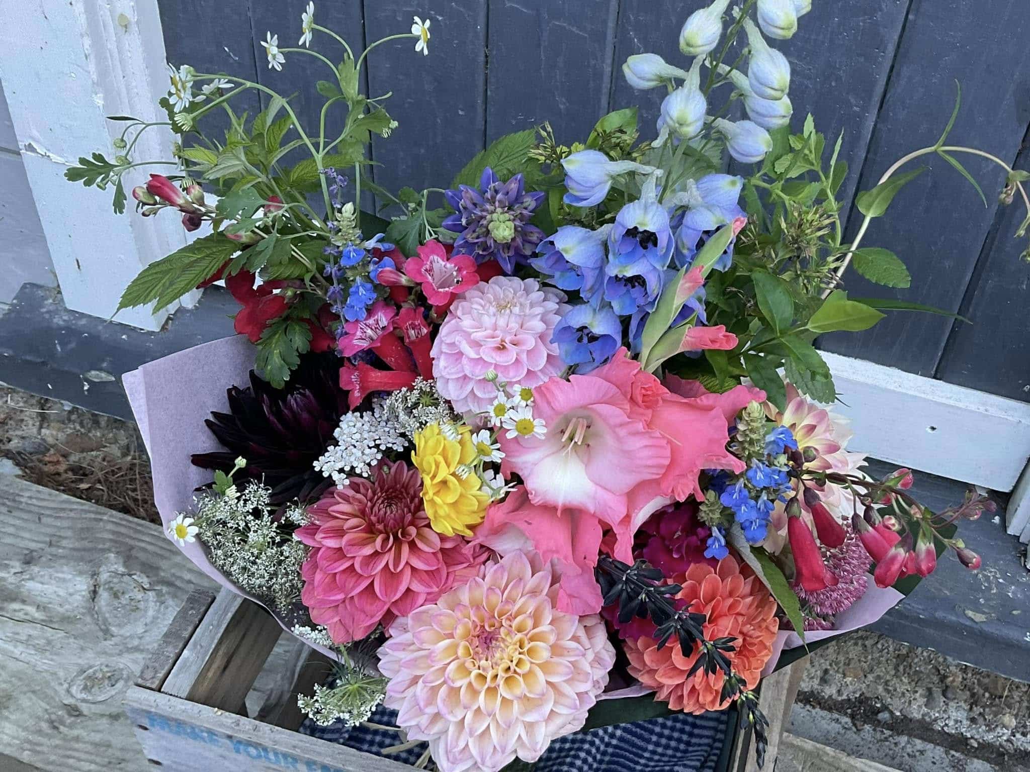 487111909_122148313562383036_5854731617718873264_n